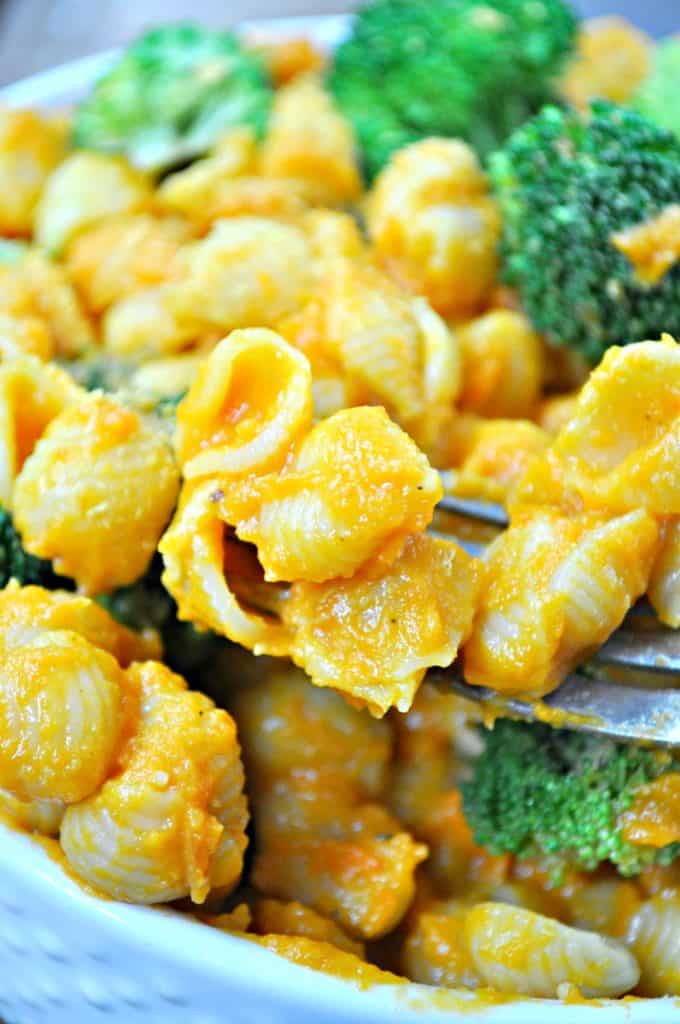 Garlic Broccoli Shells Vegan Broccoli and Cheese Shells - Rabbit and Wolves