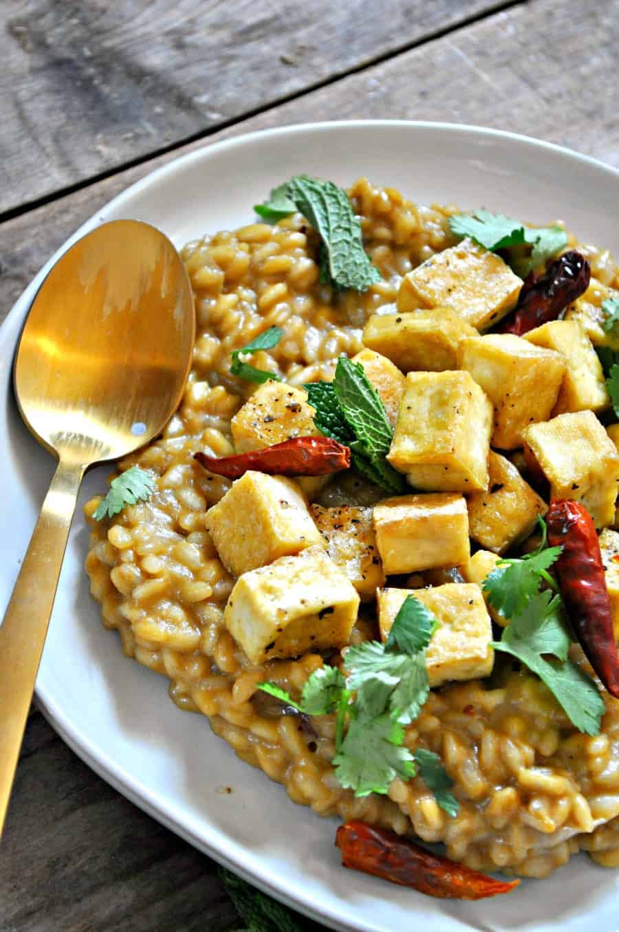 Vegan Thai Green Curry Risotto - Rabbit and Wolves