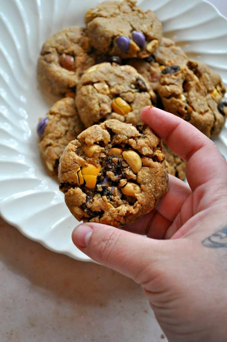 Vegan Trail Mix Cookies Rabbit and Wolves