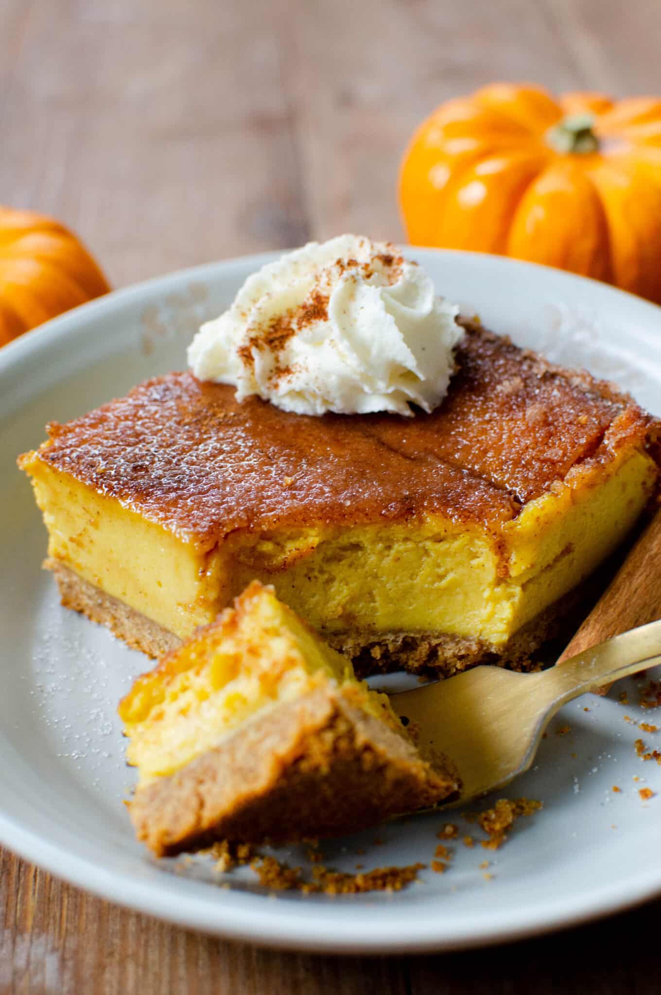 The 16 Best Vegan Thanksgiving Recipes - Rabbit and Wolves